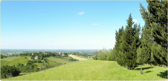 castellazzo_banner_2_0